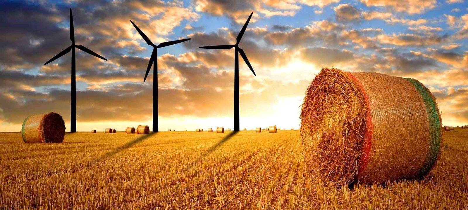 Crop%20Core%20Agro%20Pvt