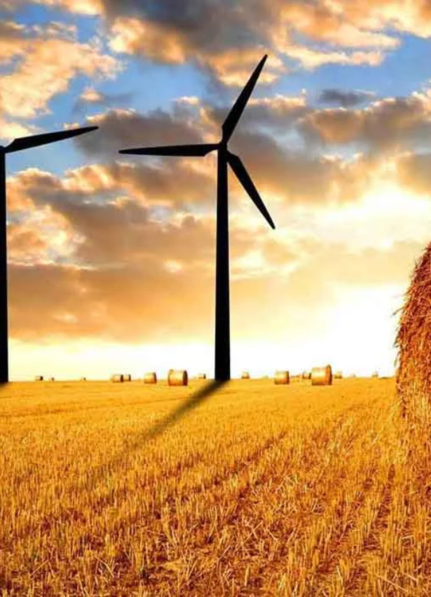 Crop%20Core%20Agro%20Pvt