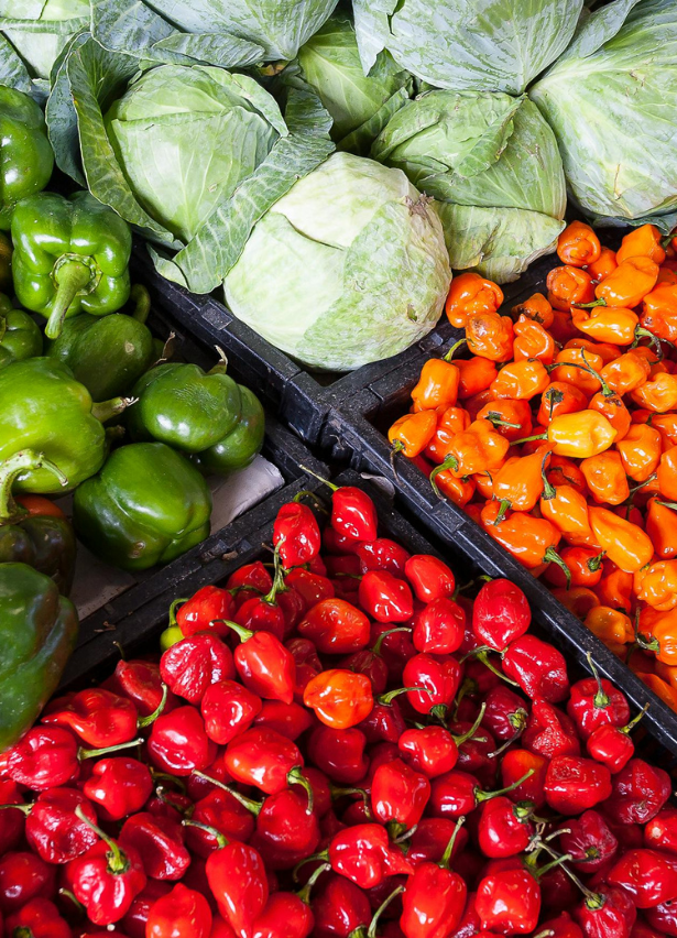 Crop%20Core%20Agro%20Pvt