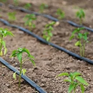 Cinagro Drip Irrigation 4MM Feederline Pipe