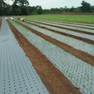 Siddhi Mulch Film 25 Micron 2.5 feet 400 meter